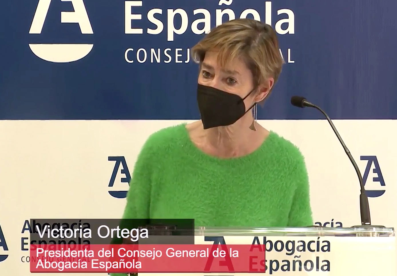 Publicación Del Nuevo Estatuto General De La Abogacía Española Abogados Cortés 3812